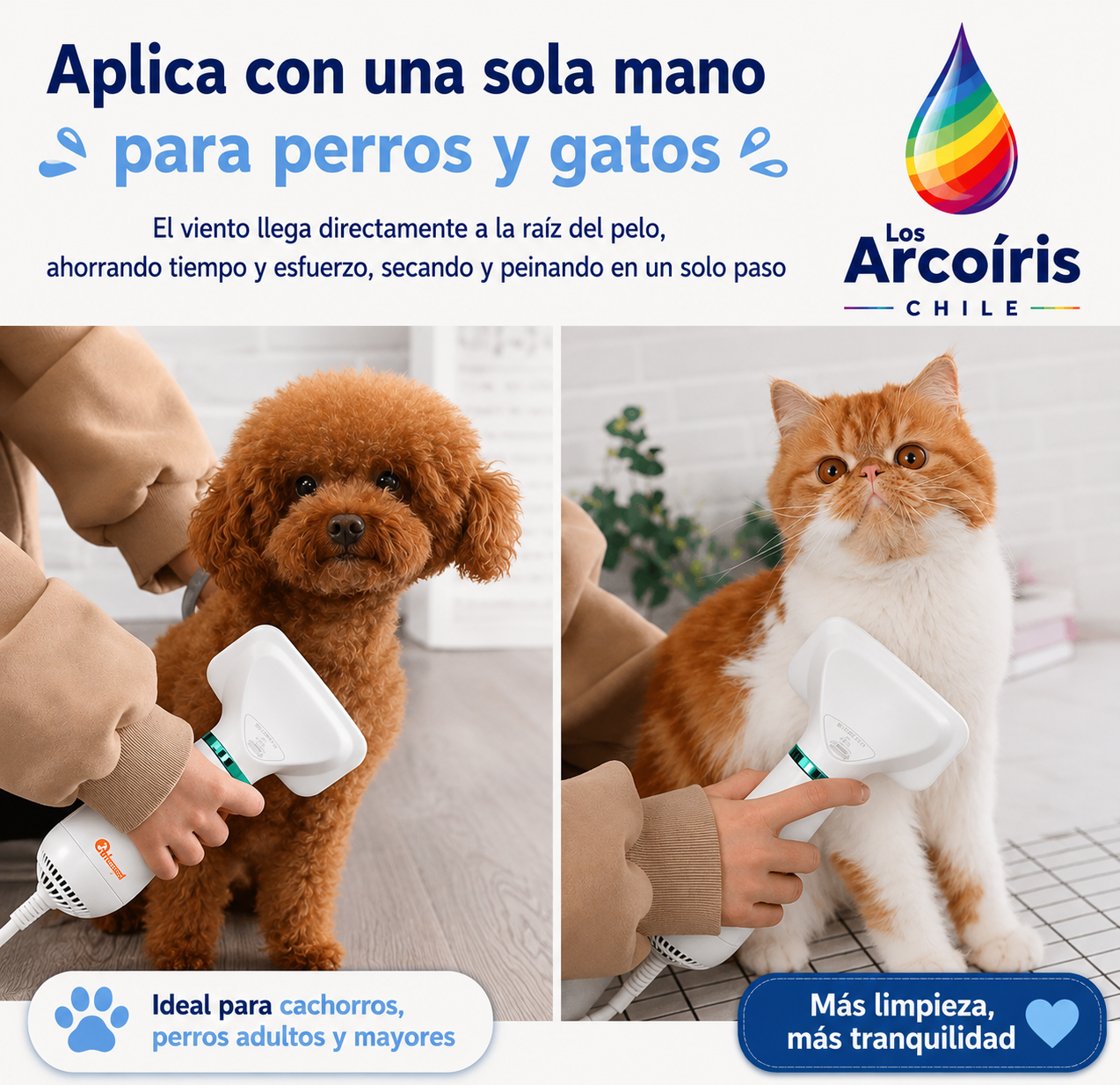 Secador pelo portátil 2en1 para mascotas