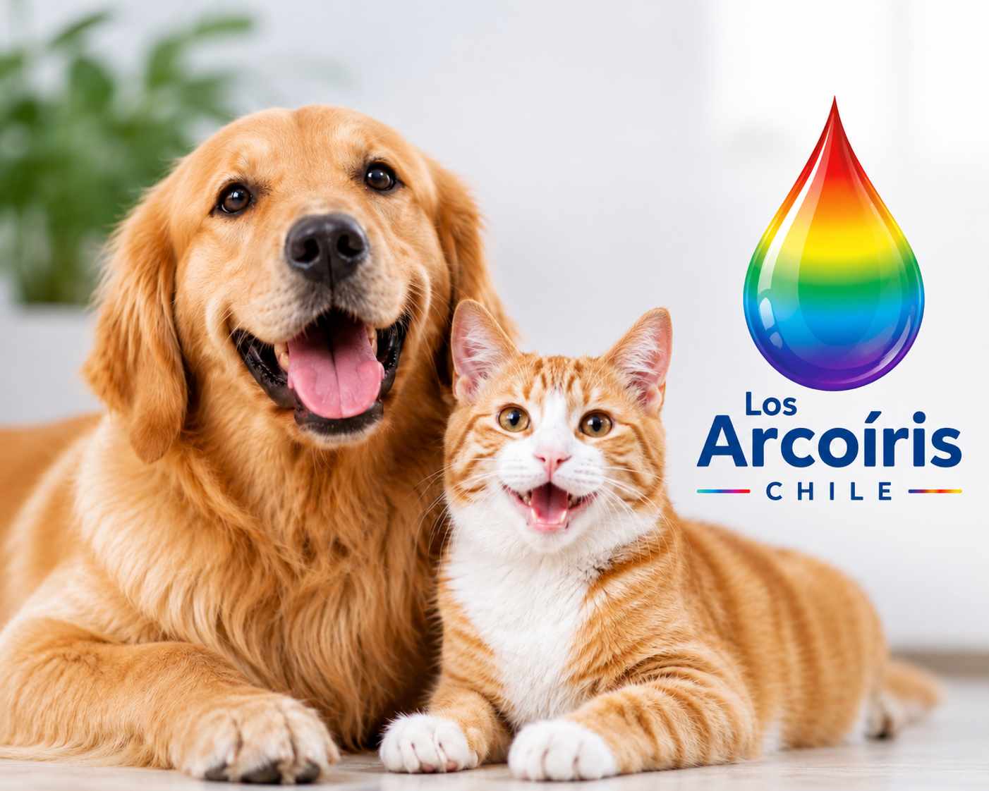 Mascotas